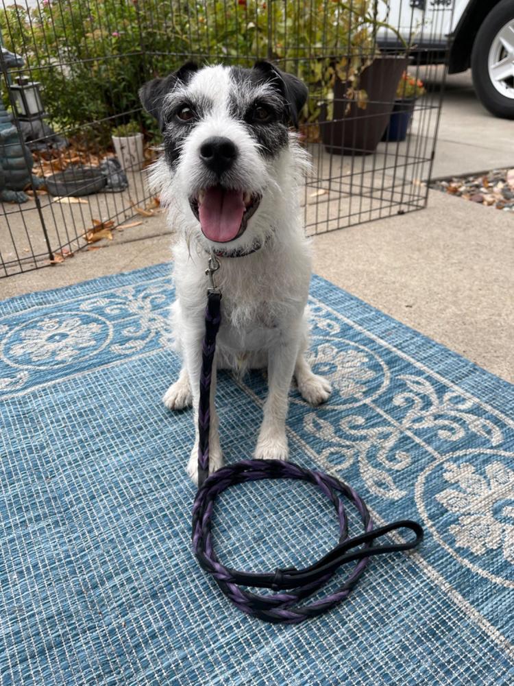 Double Braided Bullhide Leash - Customer Photo From Terri Johnson