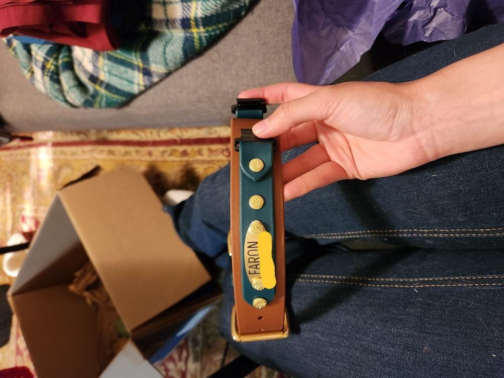 Lakeside 1.5" Buckle Collar For Fi GPS Trackers - Customer Photo From Katherine Vedros