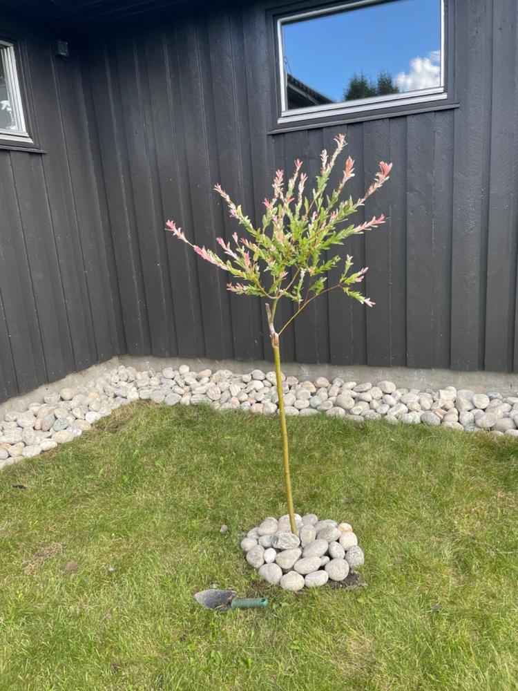 Elvestein 60/90 Kulestein 1000kg Østfold - Customer Photo From Linda Fyhn