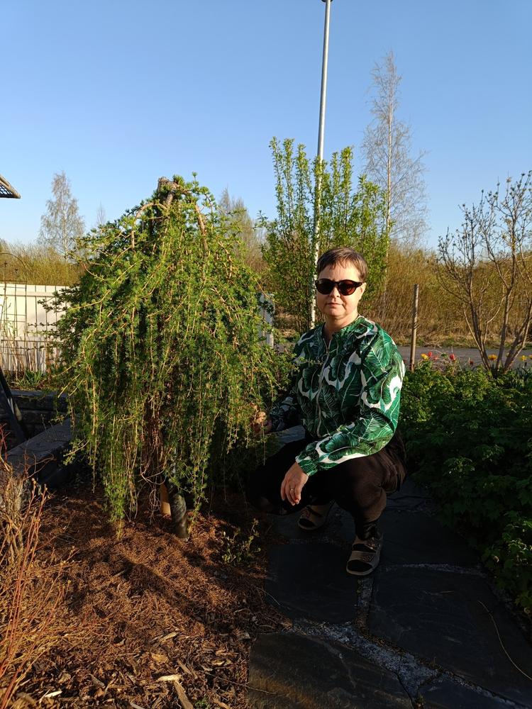 Tropical Leaves Bomber Takki - Customer Photo From Heta Iinattiniemi