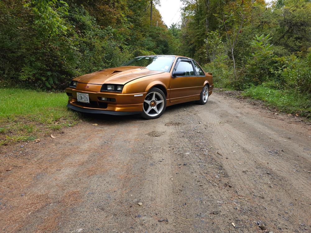Burnt Copper Peelable Car Kit - Customer Photo From Jay
