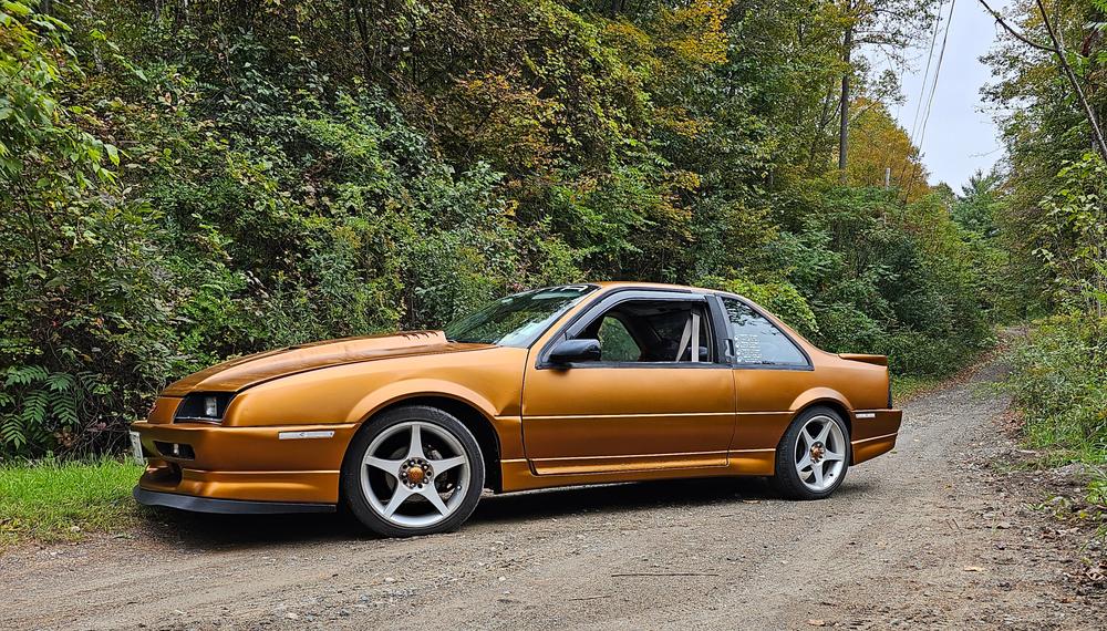 Burnt Copper Peelable Car Kit - Customer Photo From Jay