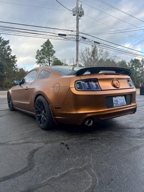 Burnt Copper Peelable Car Kit - Customer Photo From Jorge Navarro