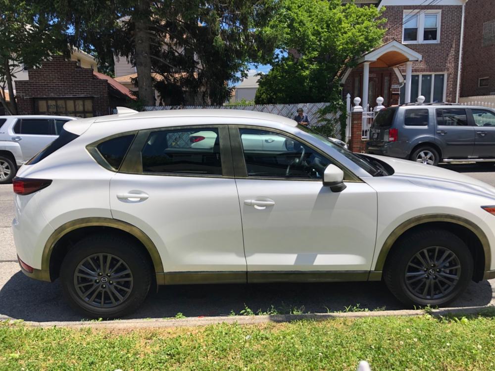 PlastiDip Metalizers - Silver and Gold Effects on PlastiDip Wheel -  Dipyourcar.com 