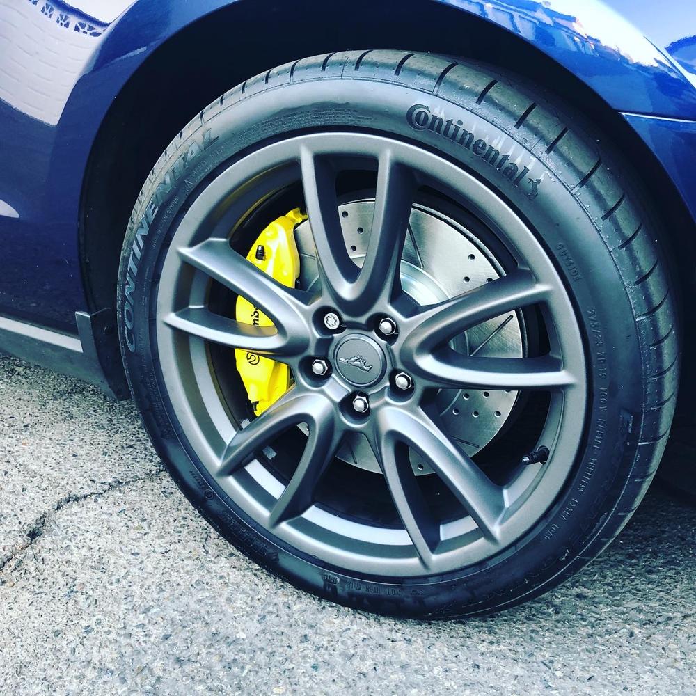 Spray Trigger - Customer Photo From Nathan Boothman