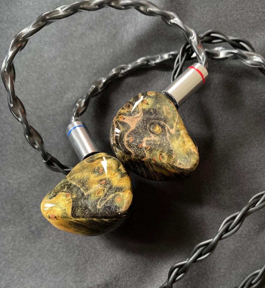 Thieaudio - Legacy 9 Universal In-Ear Monitor - Customer Photo From Takayuki Y.