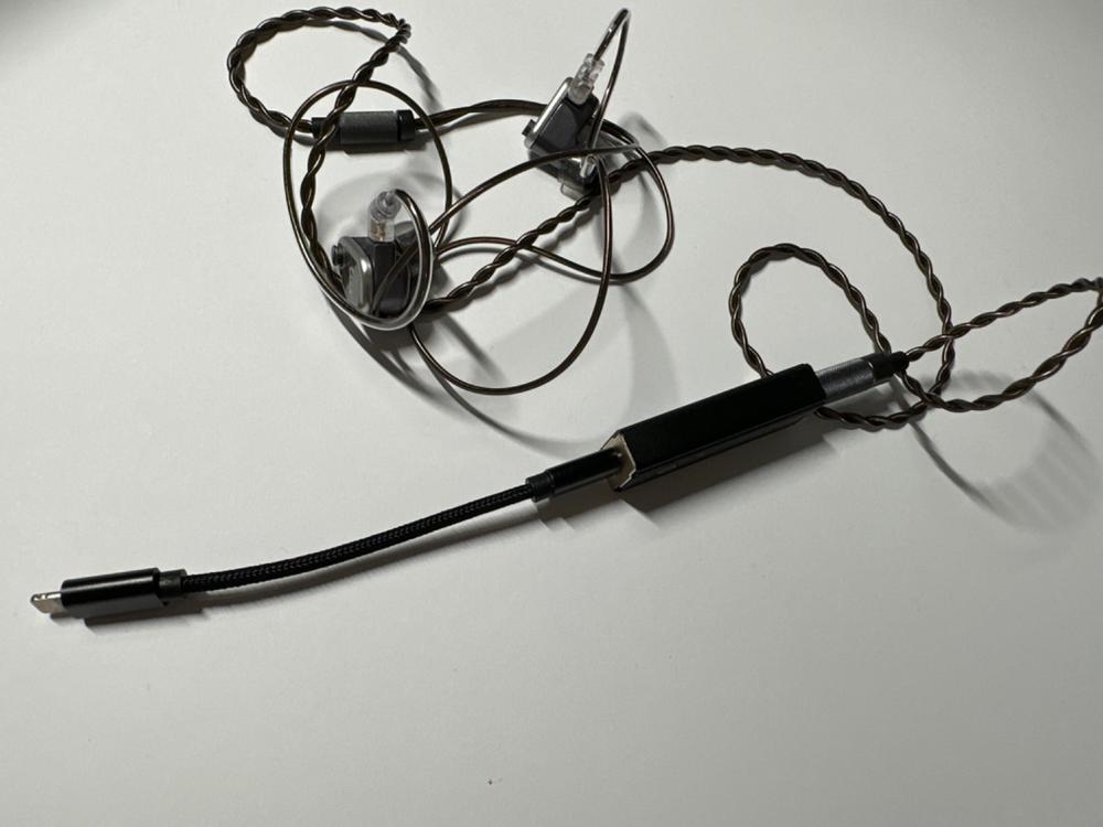FiiO - LT-LT1 Lightning to USB-C OTG Data Cable - Customer Photo From ALEJANDRO L.