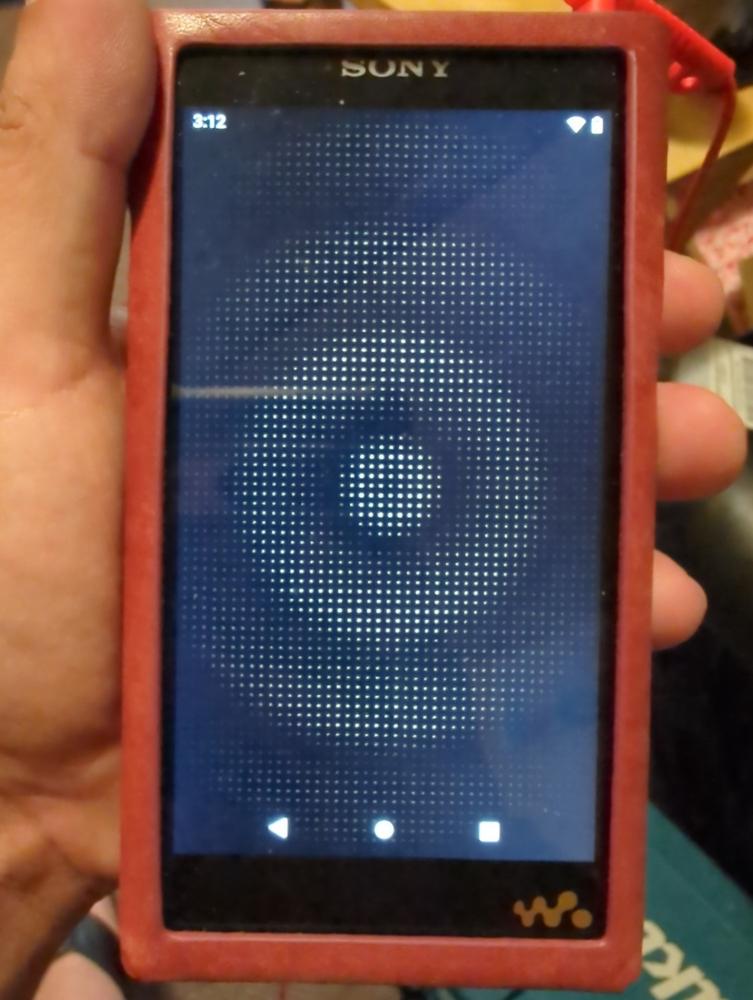 MITER Leather Case Compatible with Sony NW-WM1AM2 / NW-WM1ZM2 - Customer Photo From Rossella P.