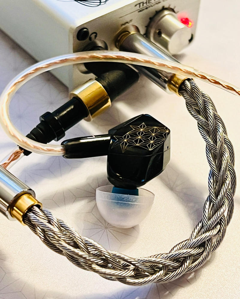 DD ddHiFi BC35B 3.5mm to 3.5mm Cable - Customer Photo From Charles R.