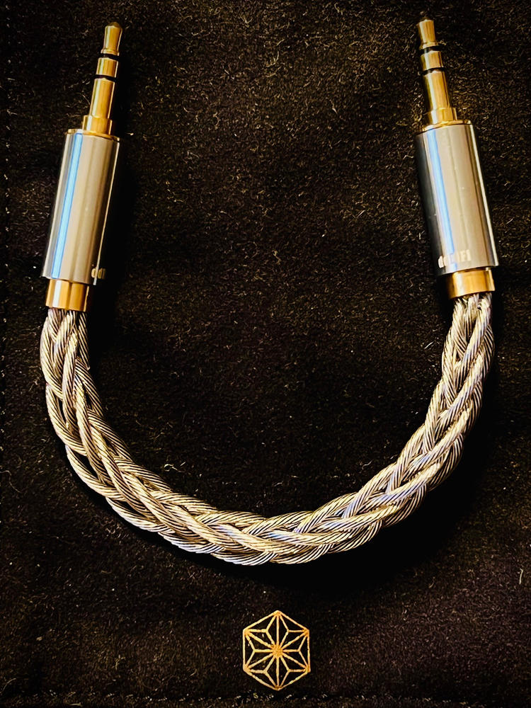 DD ddHiFi BC35B 3.5mm to 3.5mm Cable - Customer Photo From Charles R.