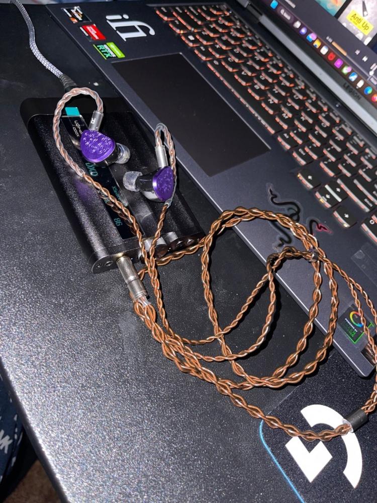 Tangzu - Wu Zetian Planar In-Ear Monitor (IN STOCK) - Customer Photo From Darren L.