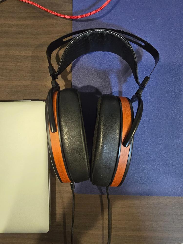 Hifiman Arya Organic Planar Magnetic Headphones | Audio46