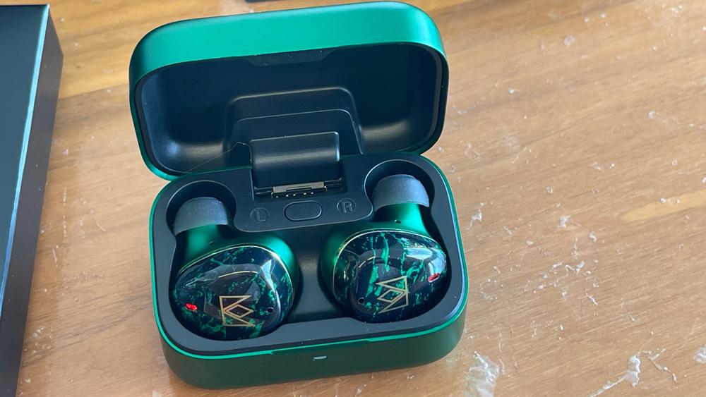 Noble Audio FoKus Rex5 True Wireless In-Ear Monitors with Active Noise Cancellation - Customer Photo From Jeffrey