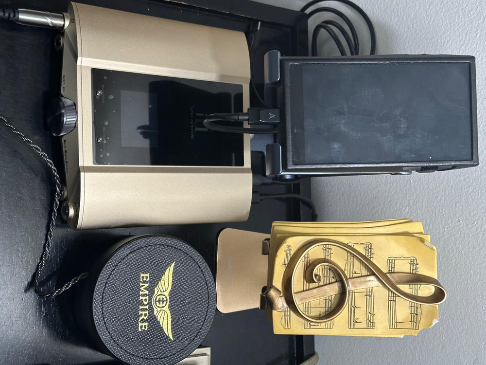 iFi iDSD Valkyrie DAC and Headphone Amplifier - Customer Photo From Steve V.