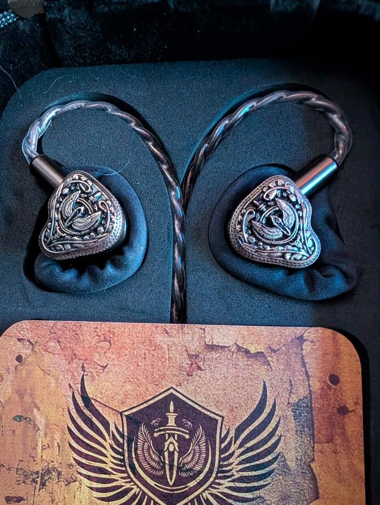 FlipEars Aegis Hybrid Universal IEMs - Customer Photo From Louis I.