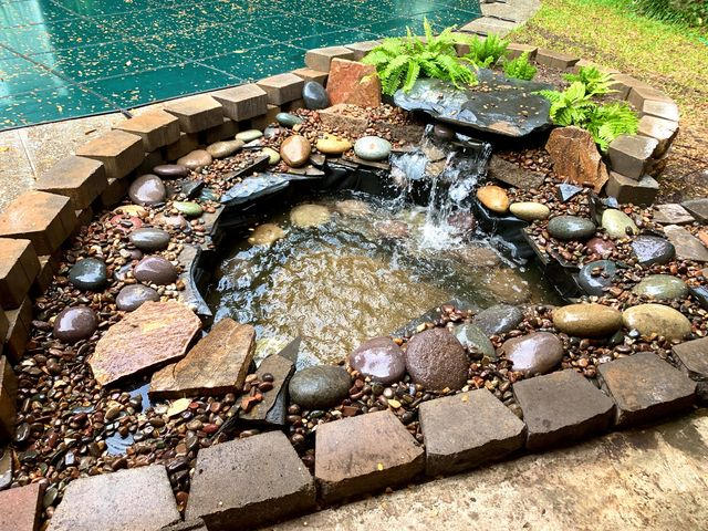 4' X 6' Aquascape DIY Backyard Pond Kit (MPN 99763) – Play It Koi