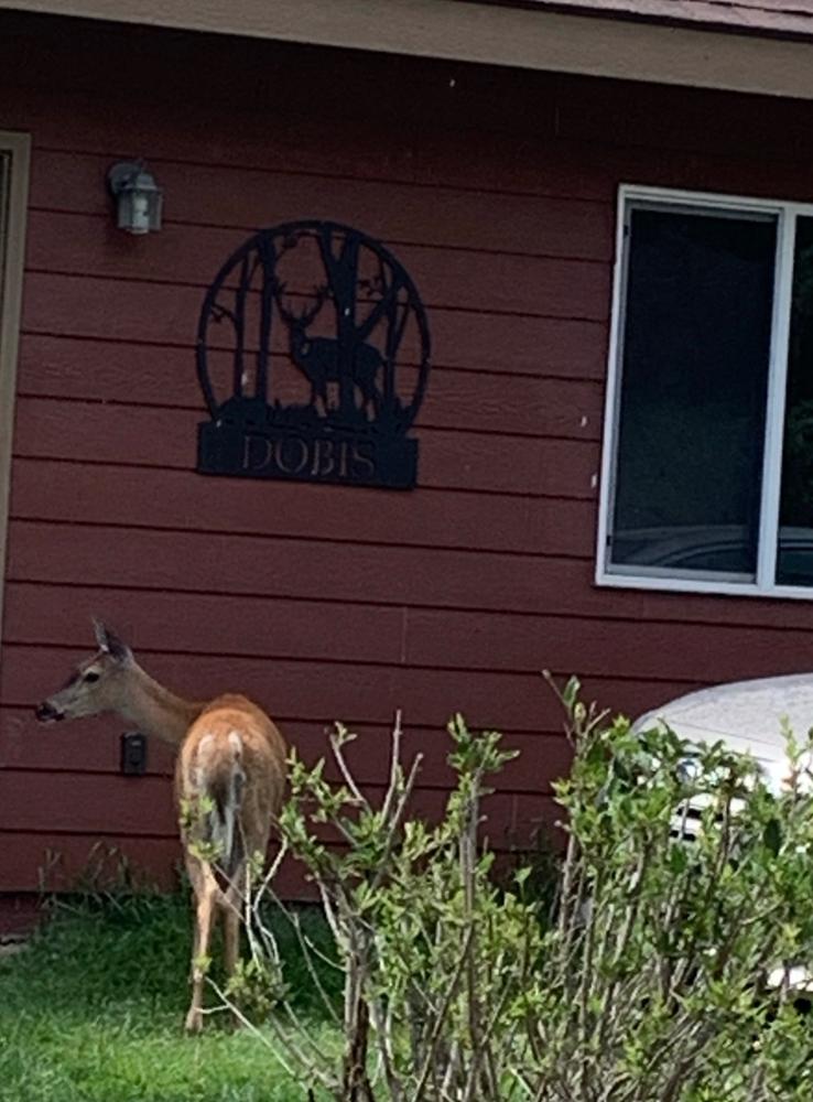 Deer Circle Monogram - Customer Photo From Paula Jobin