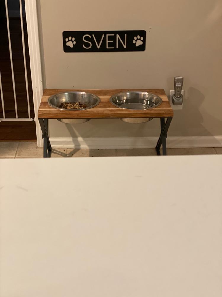 Pet Name with Paw - Customer Photo From Gina Cochrane