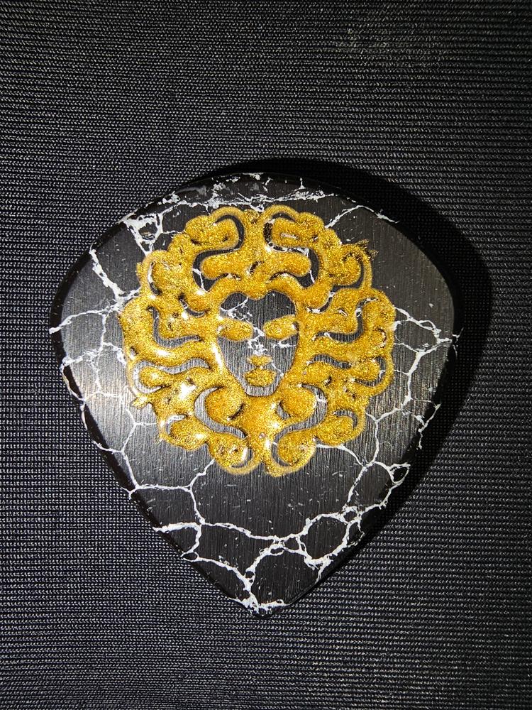 Medusa Plectrums - Customer Photo From Cory