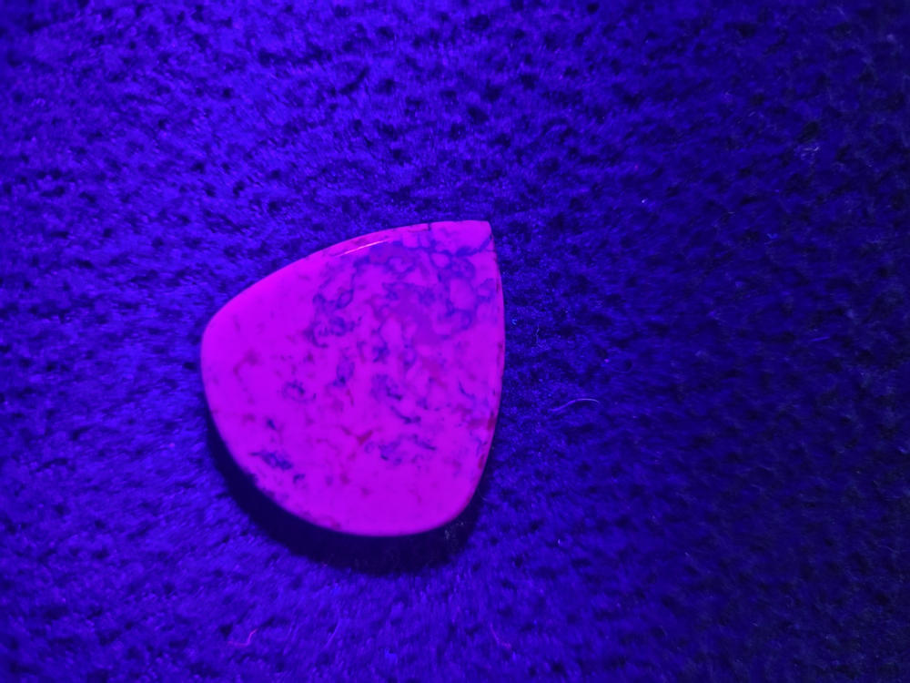 Medusa Plectrums - Customer Photo From Bob West