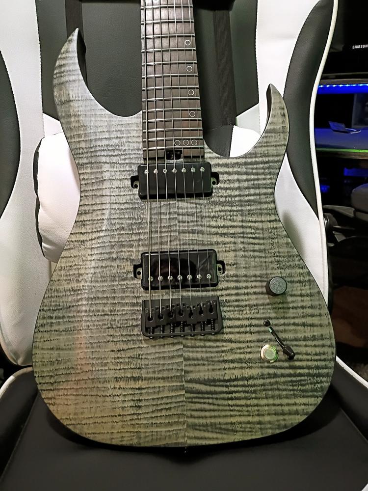 Iron Age Guitar Kill Switch (non-LED) - Customer Photo From William Powell