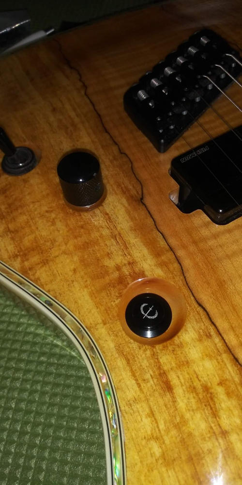 Iron Age Guitar Kill Switch (non-LED) - Customer Photo From Glenn Sharpe