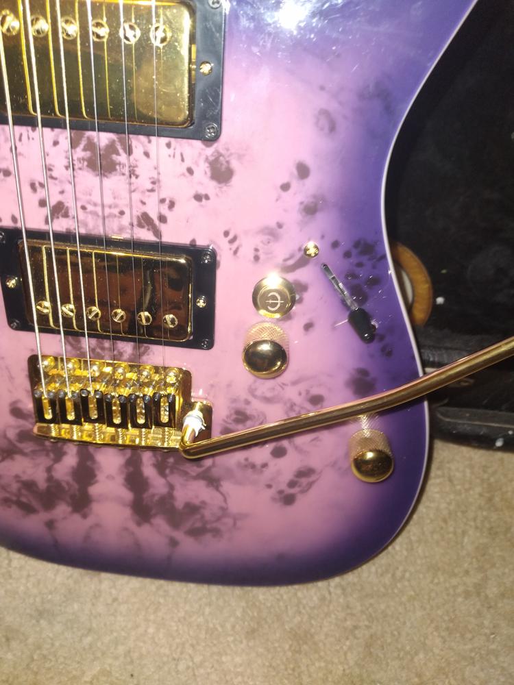 Iron Age Guitar Kill Switch (non-LED) - Customer Photo From Christopher K.