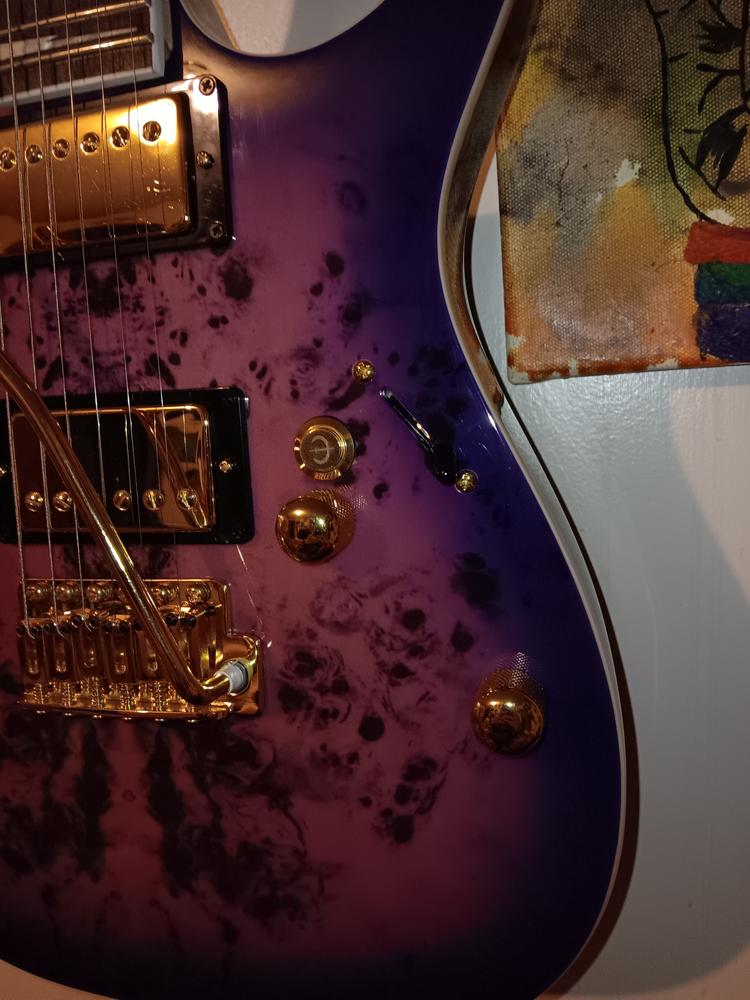 Iron Age Guitar Kill Switch (non-LED) - Customer Photo From Christopher K.