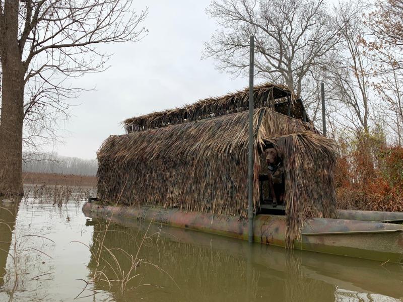 How to Create a Killer Boat Blind on a Budget - Wildfowl