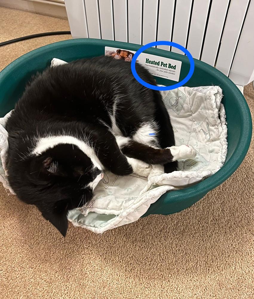 Catac Supreme Heated Cat Bed - Customer Photo From Fiona G.