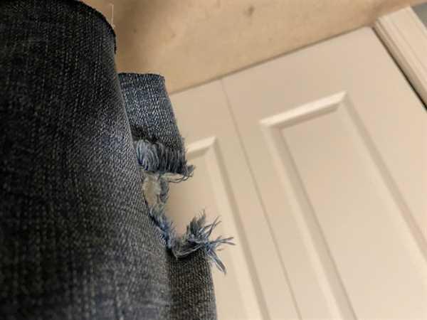 Kut from the Kloth Sophie Bermuda (Include Wash) Review