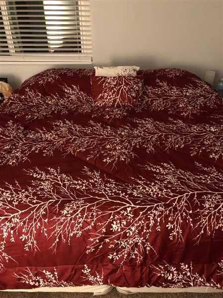 Monika Kujawski verified customer review of Burgundy 6 Piece Foliage Reversible Comforter Set