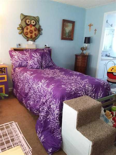 Littlebit verified customer review of Purple Foliage Reversible Comforter Set + Two Free Sham Pillows