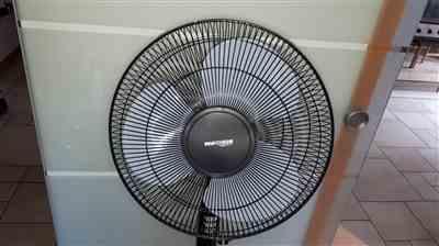 Marcus verified customer review of 