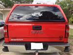 Phyllis M. verified customer review of Pit Bull Gear Logo Vinyl Decal - 12 Wide