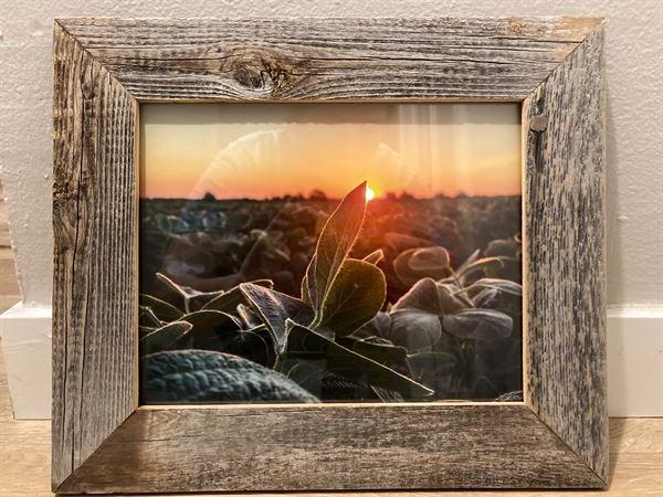 Rustic Wood Picture Frames | 8x20 Barnwood Frame - Reclaimed Wood