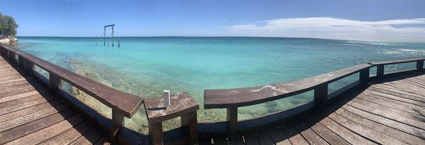 tbh skincare chemist warehouse