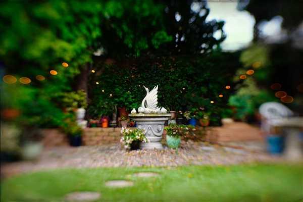 Lensbaby Sol 45 Review