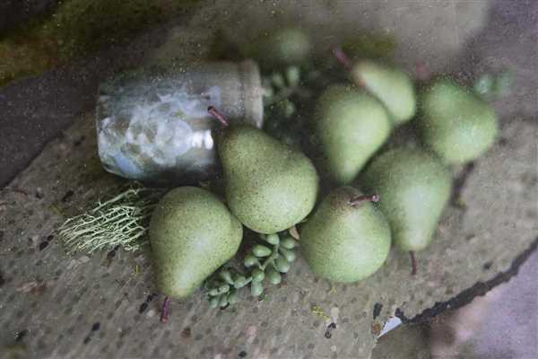 Kim Sayre verified customer review of Composer Pro II with Edge 35 Optic