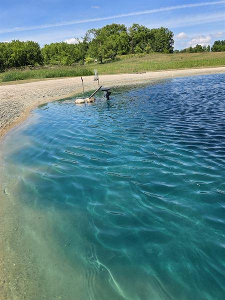 best shallow water fishing lures Best Saltwater Lures: A Beginner's Guide for 2026