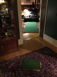 Louis P. verified customer review of Big Moss Competitor Pro Series Putting Green