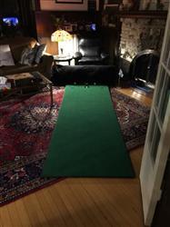 Louis P. verified customer review of Big Moss Competitor Pro Series Putting Green