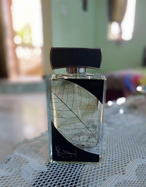 Dolce Gabbana K Eau de Toilette for Men Perfume Network India