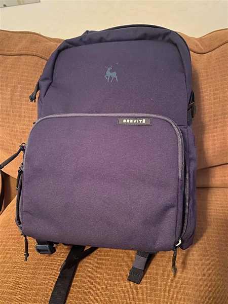 backpacks like brevite