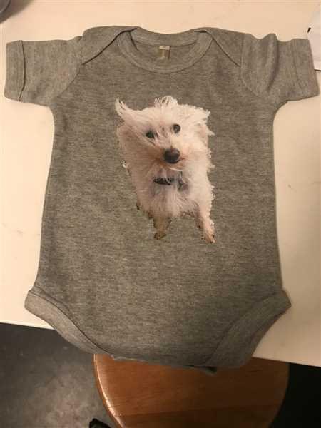 I love Veterinary Vet Tech Paw Print Gildan Ultra Cotton Ladies T-Shirt Review