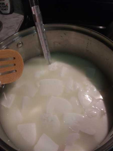 Liquid Vegetable Rennet for Cheese Making | Cheese Making Supply