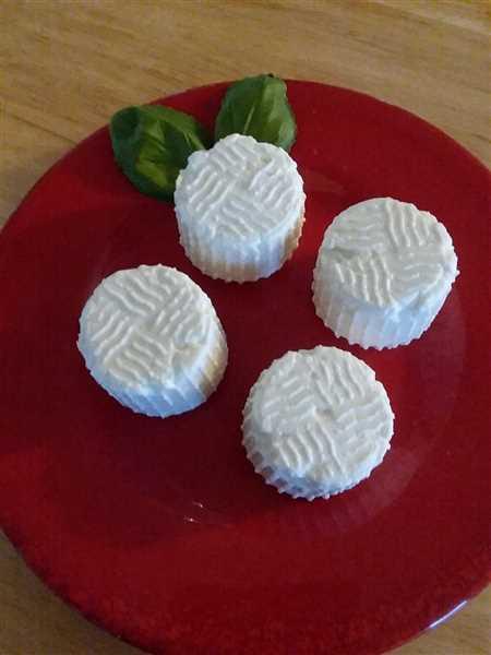 Organic Liquid Vegetable Rennet | Cheese Making Supply Co.