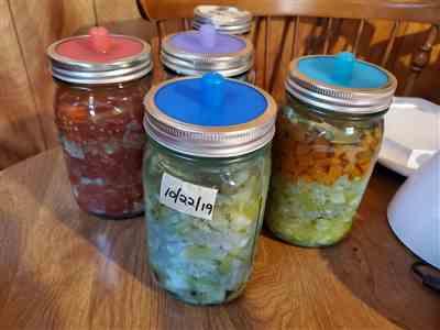 Complete Fermentation Kit for Vegetables - Masontops.com