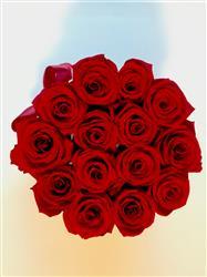 Nikhil C. verified customer review of The Million Basic - Red Eternity Roses - White Box
