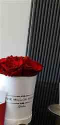 Rexhbije R. verified customer review of The Million Basic - Red Eternity Roses - Vanilla Box